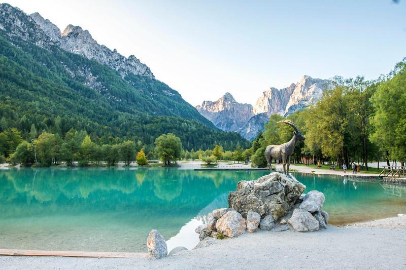 Bor In Bor Luxury Apartment With Sauna & Garden - Kranjska Gora Zewnętrze zdjęcie